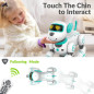 STEMTRON Programmable Interactive RC Robo Dog & Cat with Touch Sensors, LED Eyes, Dance & Music STEMTRON Programmable Interactive RC Robo Dog & Cat with Touch Sensors, LED Eyes, Dance & Music