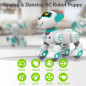 STEMTRON Robot Animal Programmable Télécommande Interactive Chien & Chat RC LED Danse Musique