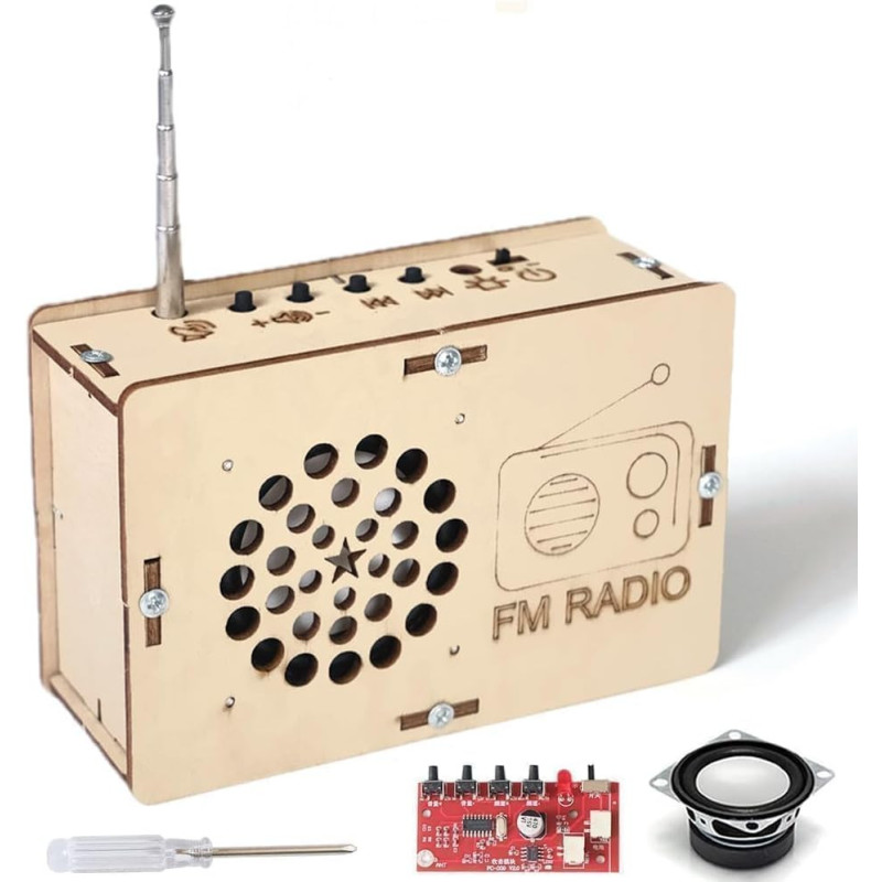 Jouets STEM & Kits Science DIY Radio pour Enfants 5-15 ans
