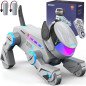 SIMREX AN-02 CyberDog: smart robot dog that dances, jumps & syncs with your Bluetooth music SIMREX AN-02 CyberDog: smart robot dog that dances, jumps & syncs with your Bluetooth music