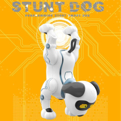 Chien Robot Télécommandé Fisca Jouet Vocal pour Enfants
