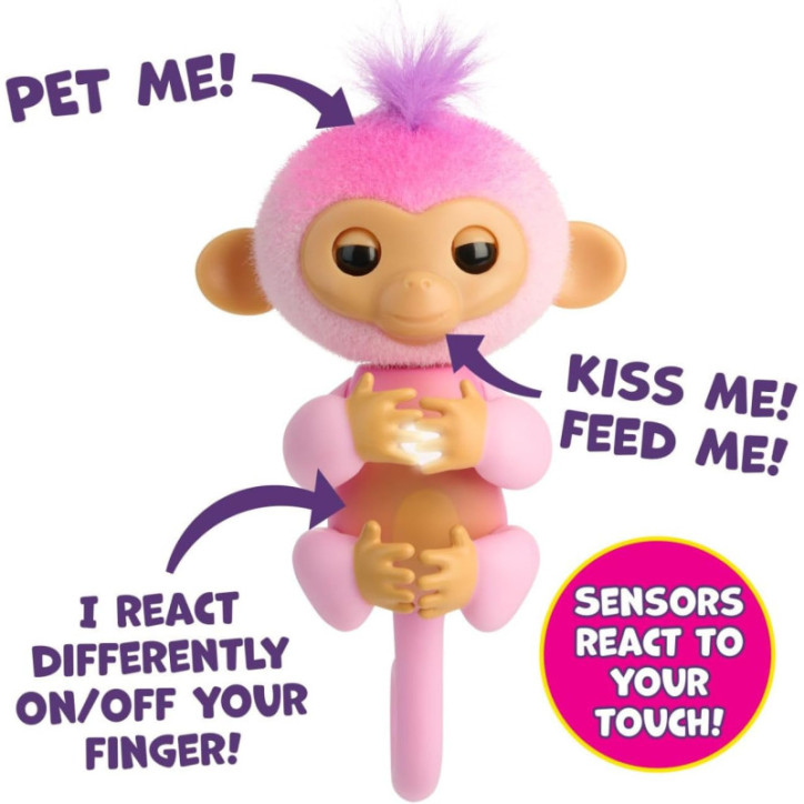 Meet Harmony, the pop star monkey who follows you, plays, sings & shares love softly everywhere Meet Harmony, the pop star monkey who follows you, plays, sings & shares love softly everywhere