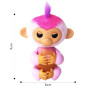 Adoptez Harmony, le singe pop star qui vous suit partout, joue, chante et partage son amour en douceur Adoptez Harmony, le singe pop star qui vous suit partout, joue, chante et partage son amour en douceur