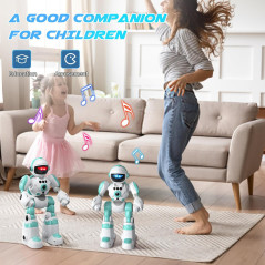 An all-in-one interactive toy: talking, dancing and remote-controlled robot