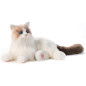 Chongker Robot Chat Interactif, Peluche Pondérée Artisanale, Réponse Vocale, Battement Réaliste, Ronronnement Chongker Robot Chat Interactif, Peluche Pondérée Artisanale, Réponse Vocale, Battement Réaliste, Ronronnement