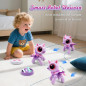 BIRANCO Unicorn Robot Toy for Girls 3-6, Remote Control, Gesture Sensing, STEM Interactive Gift BIRANCO Unicorn Robot Toy for Girls 3-6, Remote Control, Gesture Sensing, STEM Interactive Gift