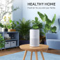 FULMINARE H13 True HEPA Air Purifier for Bedroom - Quiet, Portable with Night Light for Home & Office FULMINARE H13 True HEPA Air Purifier for Bedroom - Quiet, Portable with Night Light for Home & Office