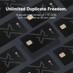 ELLIPAL X Card – Portefeuille Crypto Sécurisé Hors Ligne