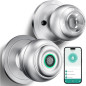 Serrure de porte biométrique argentée avec empreinte digitale, appli, clé et entrée sans clé Serrure de porte biométrique argentée avec empreinte digitale, appli, clé et entrée sans clé