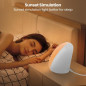 Lampe Soleil LASTAR 10 000 Lux, 4 Températures Couleur, 5 Intensités, Minuteur 1H, Contrôle Tactile Lampe Soleil LASTAR 10 000 Lux, 4 Températures Couleur, 5 Intensités, Minuteur 1H, Contrôle Tactile