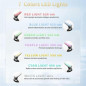 Appareil de Beauté Visage Multifonction avec Vibration et LED 7 Couleurs pour Soins à Domicile Appareil de Beauté Visage Multifonction avec Vibration et LED 7 Couleurs pour Soins à Domicile