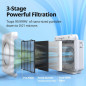 Purificateur d'air Coway Airmega AP-1512HH(W) True HEPA avec surveillance qualité air, mode éco, minuteur