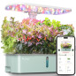 LetPot LPH-Air Kit Hydroponique Intelligent WiFi, 24W Spectre Complet, 10 Pots, Jardin Intérieur Connecté LetPot LPH-Air Kit Hydroponique Intelligent WiFi, 24W Spectre Complet, 10 Pots, Jardin Intérieur Connecté