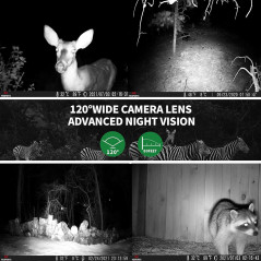 Caméra Trail WOSPORTS 48MP 4K Vision Nuit IP66 Étanche