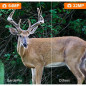 GardePro A3S Caméra de Chasse 64MP 1296p Vision Nocturne 100ft Sans Lueur Déclenchement Rapide 0.1s Étanche GardePro A3S Caméra de Chasse 64MP 1296p Vision Nocturne 100ft Sans Lueur Déclenchement Rapide 0.1s Étanche