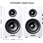Sanyun SW208 3 Active Bluetooth 5.0 Bookshelf Speakers 60W Carbon Fiber with 24bit DAC 3D Surround Sound (White) Sanyun SW208 3 Active Bluetooth 5.0 Bookshelf Speakers 60W Carbon Fiber with 24bit DAC 3D Surround Sound (White)