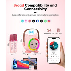 Mini Karaoké Enfant Portable avec 2 Micros Sans Fil Rose