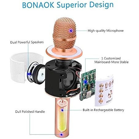 Micro Karaoké Bluetooth BONAOK 3-en-1 Rose Gold Portable