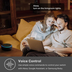 Interrupteur Kasa Smart HS200-2 2-Gang Wi-Fi Alexa Google Home