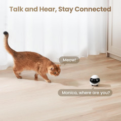 Enabot EBO Air 2 FamilyBot: 2K Pet Camera Robot with Night Vision