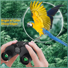 Aurosports Jumelles 10x25 Compactes pour Adultes & Enfants - Observation Oiseaux, Faible Luminosité
