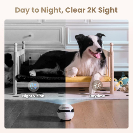 Enabot EBO Air 2 FamilyBot: 2K Pet Camera Robot with Night Vision