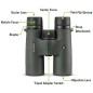 Jumelles Vortex Optics Triumph HD 10x42 - Verres HD, Étanches, Antibuée, Antichoc, Garantie Illimitée Jumelles Vortex Optics Triumph HD 10x42 - Verres HD, Étanches, Antibuée, Antichoc, Garantie Illimitée