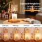 Hong-in Dimmable Candle Warmer Lamp with Timer & Adjustable Height, Vintage Amber Glass Wax Melt Warmer Gift