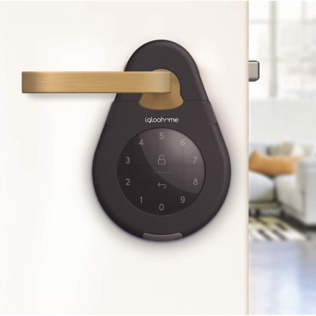 Igloohome Smart Keybox 3: Secure Keyless Entry for Airbnb & Home - Grant Access Remotely!