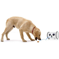 Skymee Owl Robot, the interactive robot for your dog
