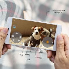 Skymee Owl Robot, the interactive robot for your dog