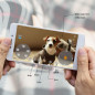 SKYMEE Owl Robot: Interactive Pet Camera & Treat Dispenser - Keep Your Furry Friend Happy! SKYMEE Owl Robot: Interactive Pet Camera & Treat Dispenser - Keep Your Furry Friend Happy!